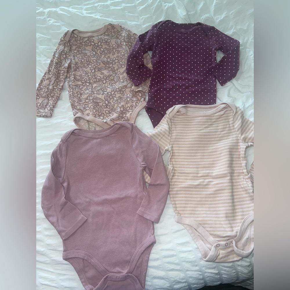 Carter's Floral and Striped Bodysuit Set